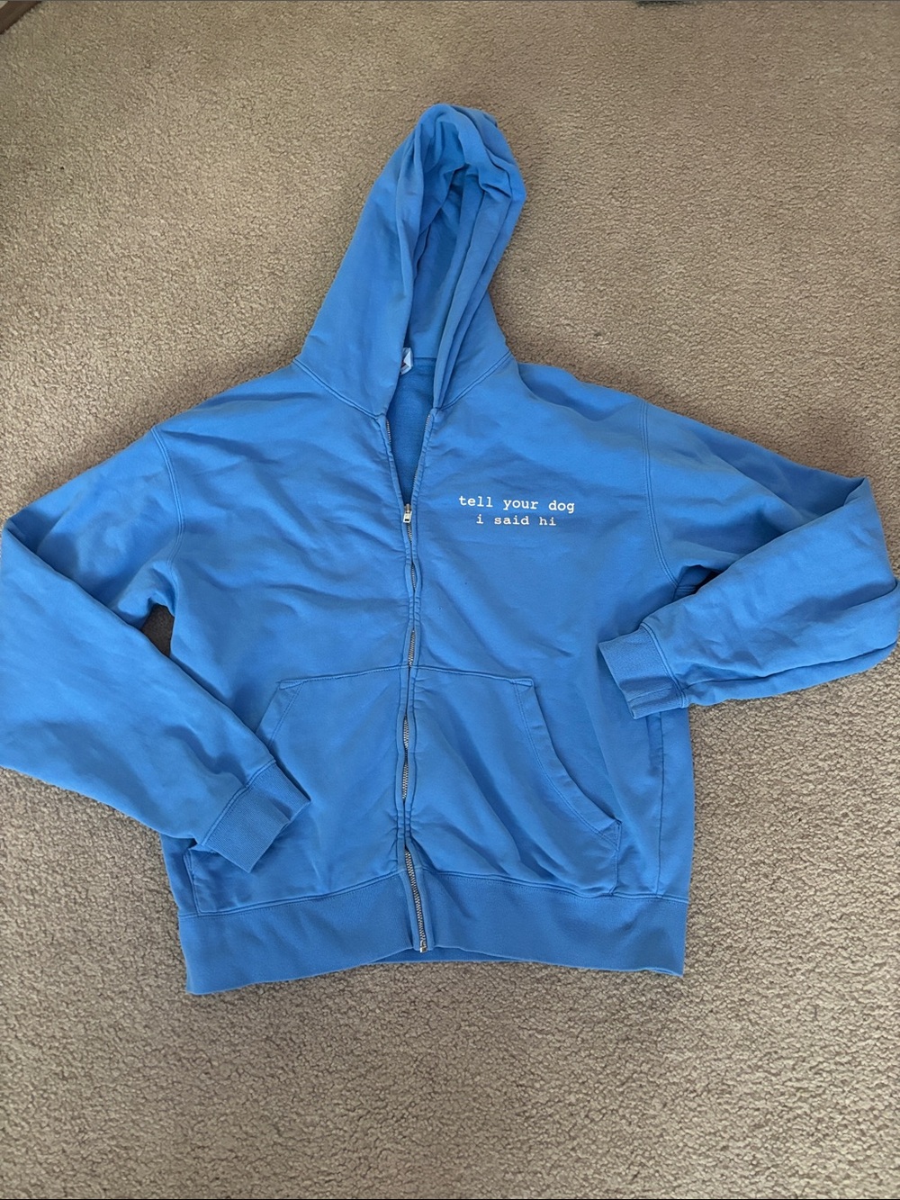 Tell Your Dog I said Hi Blue hoodie size medium